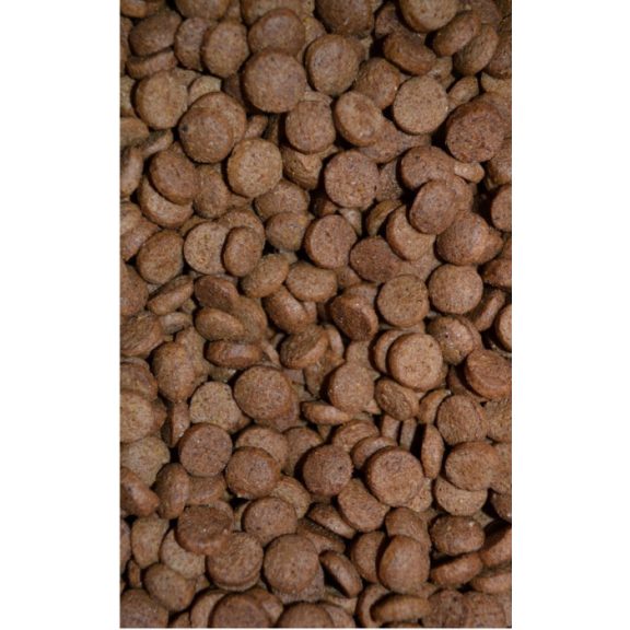 Flamó Universal Plus Marhás 1kg Teljes értékű kutyaeledel Flamó Universal Plus Marhás 1kg Teljes értékű kutyaeledel