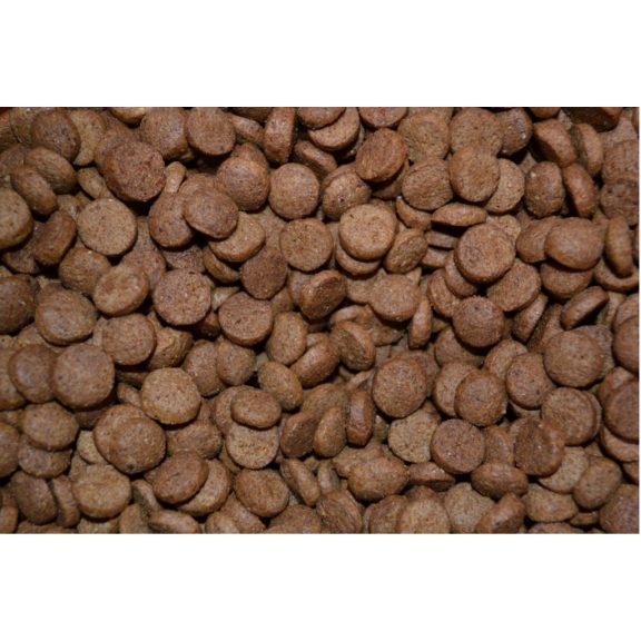 Universal Marhás ízesítésű közepes szemű kutyatáp 10 kg Universal Marhás ízesítésű közepes szemű kutyatáp 10 kg